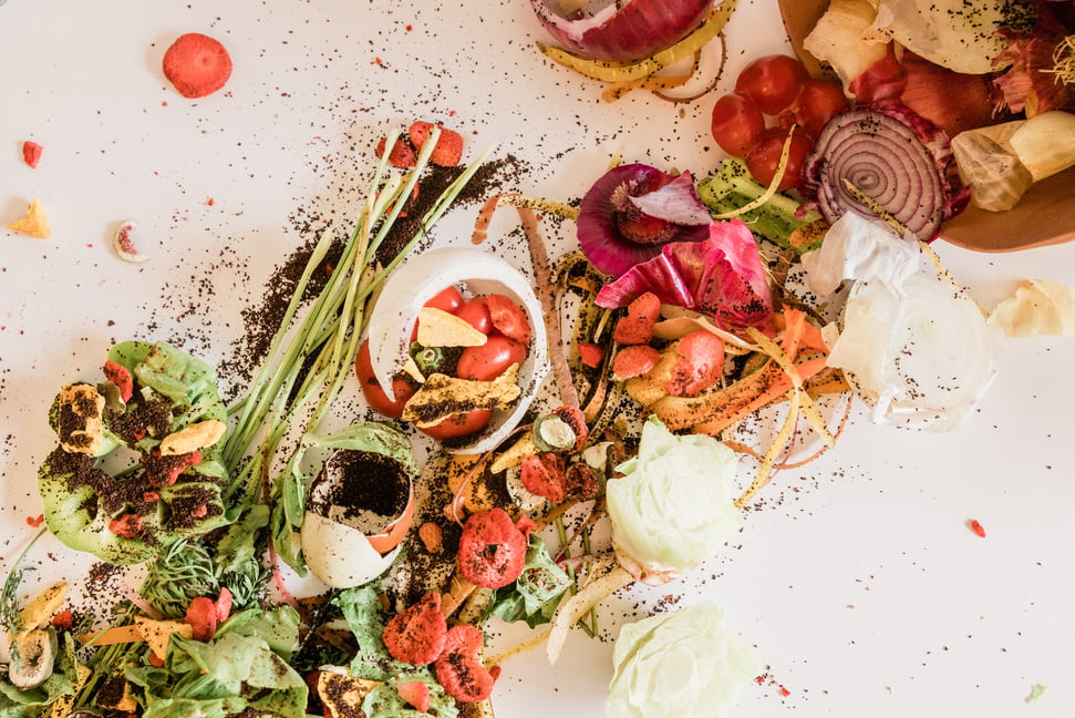 Various Food Waste Flatlay